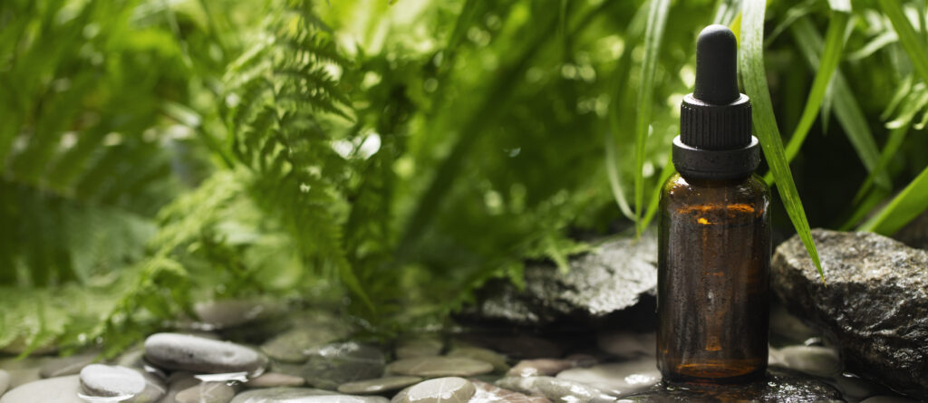 respiratory health essential oils